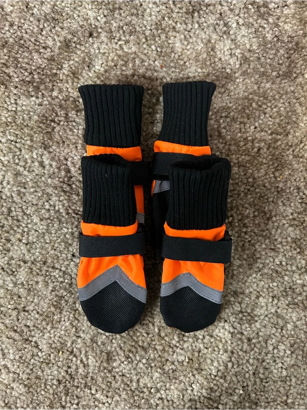 New Dog Boots